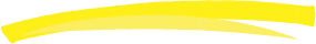 boder-yellow